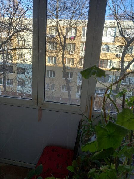 Drumul Taberei Posta Valea Argesului