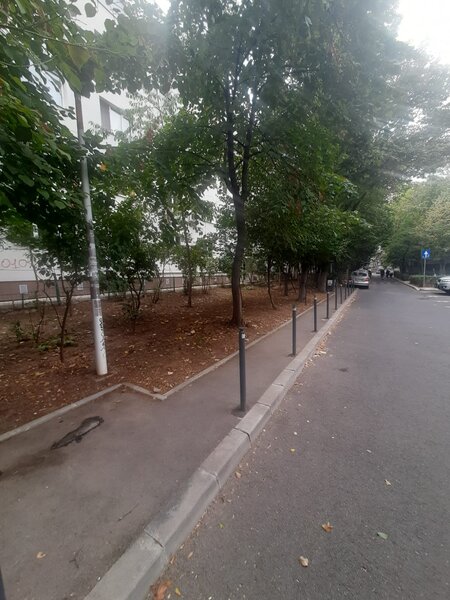 Drumul Taberei, Posta, Valea Argesului,